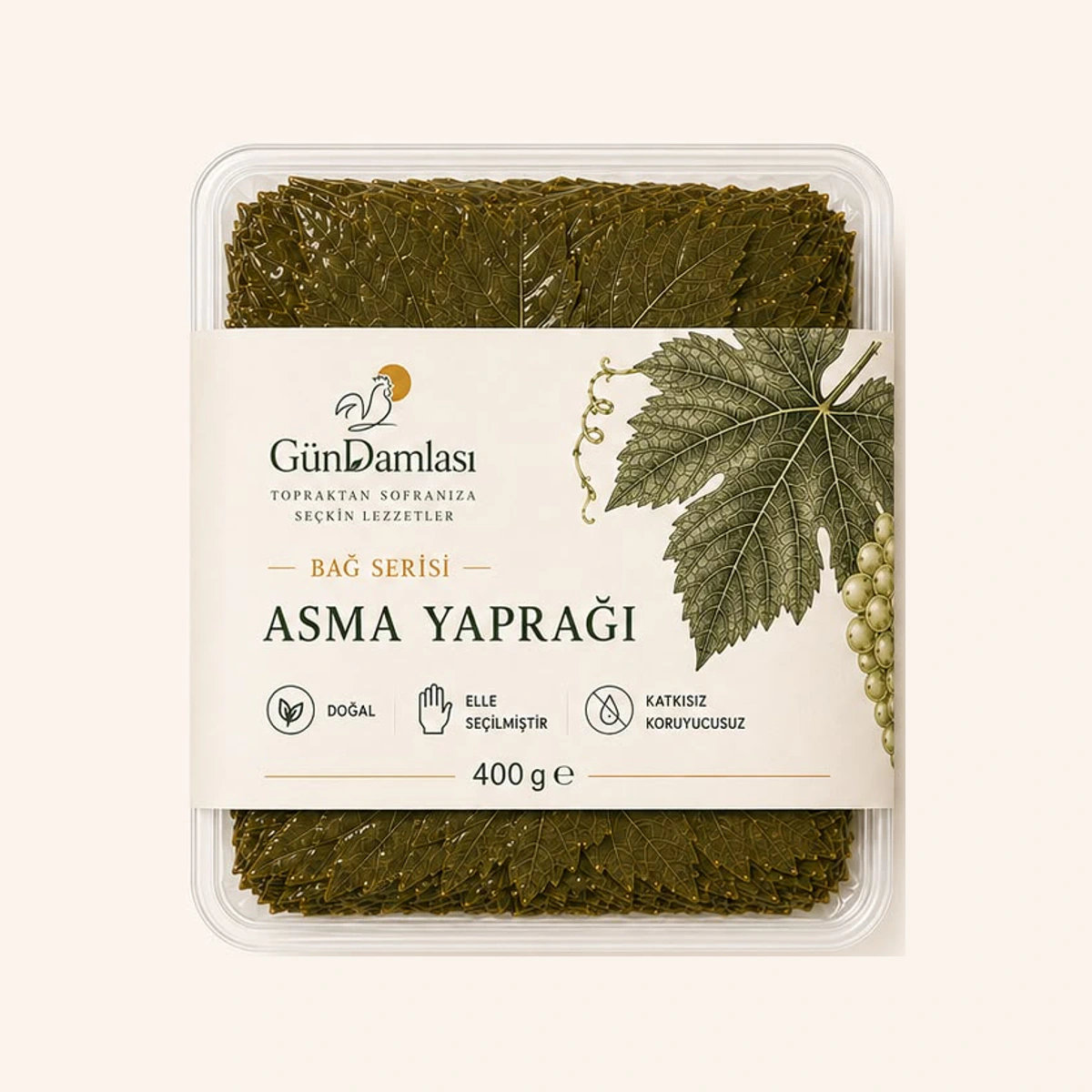 Asma Yaprağı
